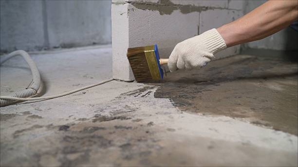SJ Waterproofing Pros Crawl Space Encapsulation coverage map for White Cloud, MI and surrounding area
